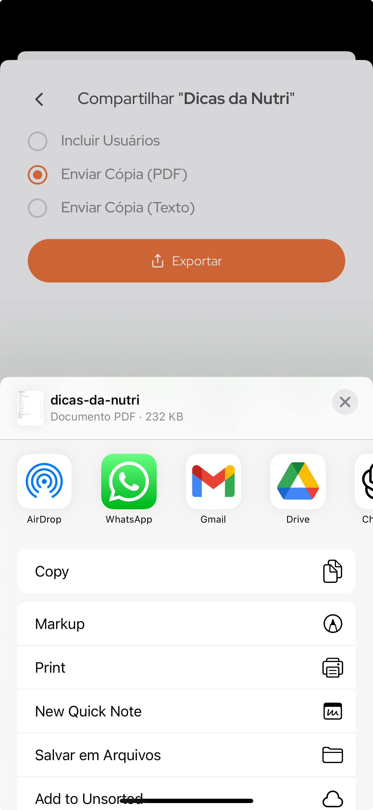 Imagem das opções de destino da exportação.